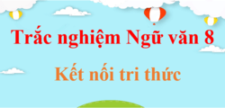 1000 Câu hỏi trắc nghiệm Ngữ Văn 8 Kết nối tri thức (có đáp án) | Trắc nghiệm Văn 8