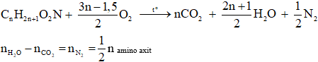 Công thức bài toán đốt cháy amino axit hay nhất