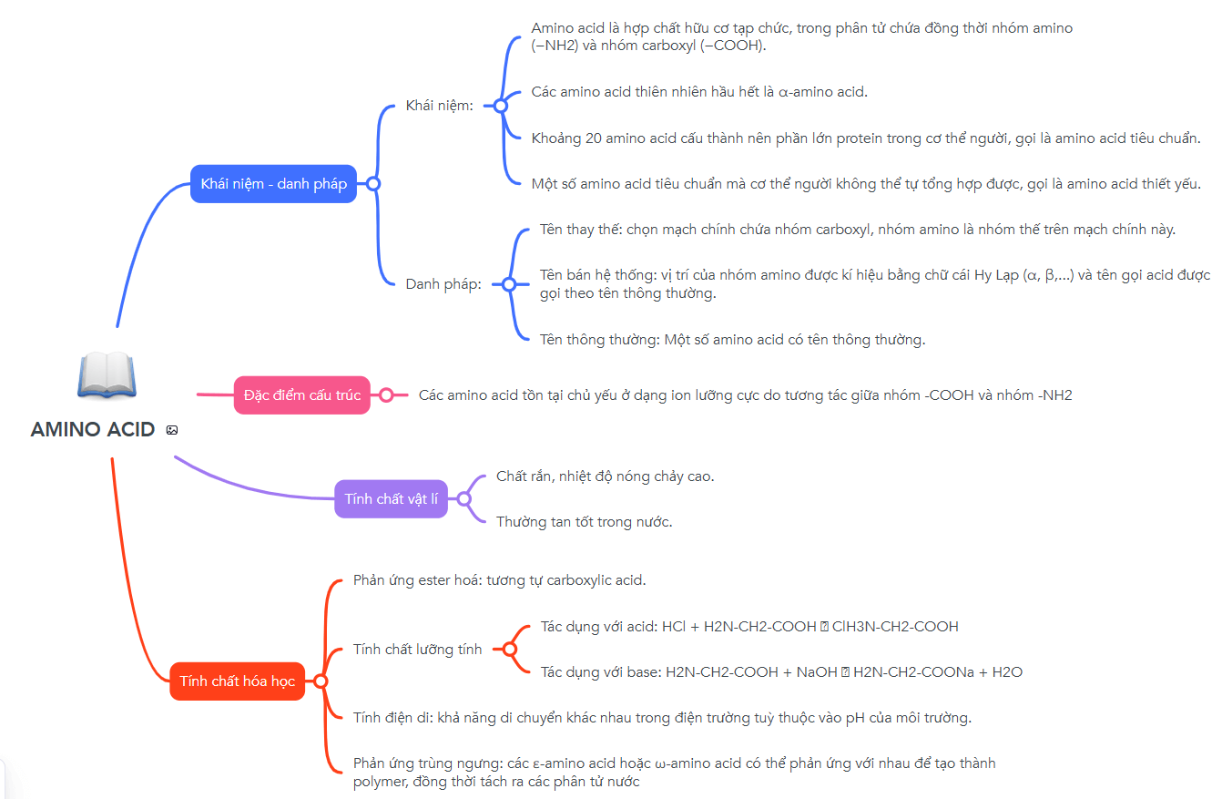 Sơ đồ tư duy Amino acid lớp 12 (hay nhất)
