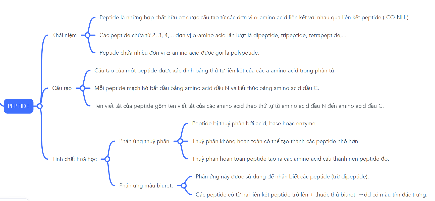 Sơ đồ tư duy Peptide lớp 12 (hay nhất)