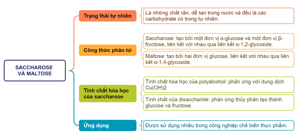 Sơ đồ tư duy Sacharose và maltose lớp 12 (hay nhất)