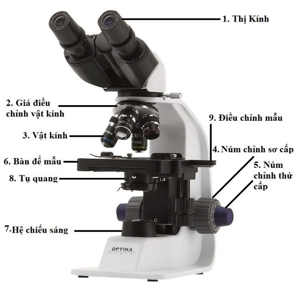 Công thức tính số bội giác của kính hiển vi hay nhất | Vật lí lớp 11