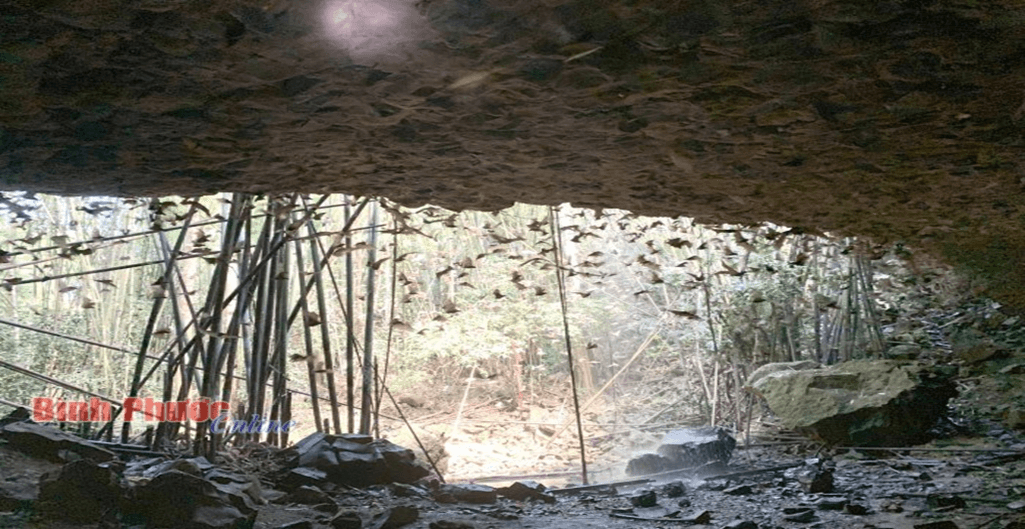 90 Đề đọc hiểu Ngữ văn 9 ôn thi vào lớp 10