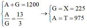 Các dạng bài tập Di truyền phân tử hay, (có lời giải)