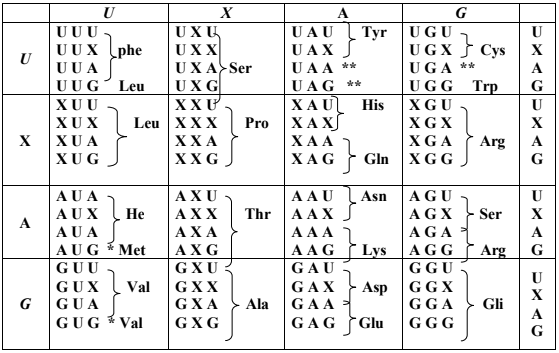 Công thức về Protein (tính số bộ ba mật mã, số axit amin, số liên kết peptit)