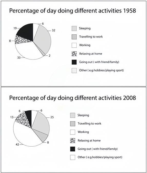 The charts below show the percentage of time working adults spent on different activities