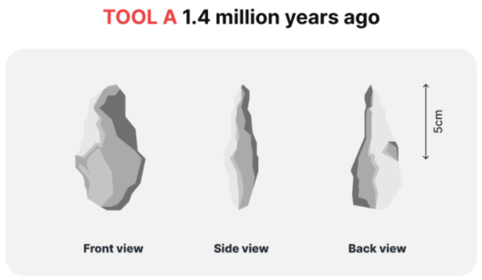 5+ The diagram below shows the development of cutting tools in the Stone Age. Summarize the information by selecting