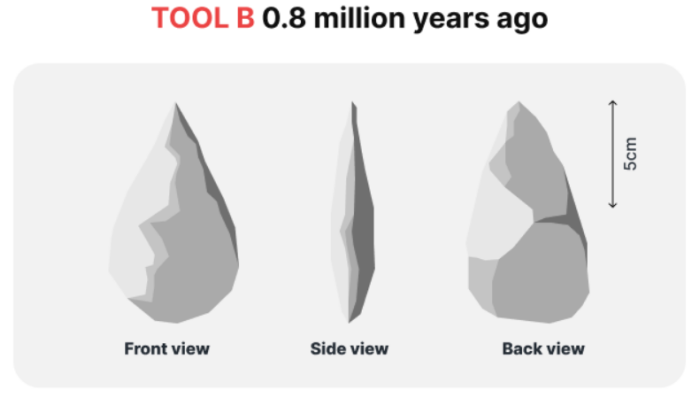 5+ The diagram below shows the development of cutting tools in the Stone Age. Summarize the information by selecting