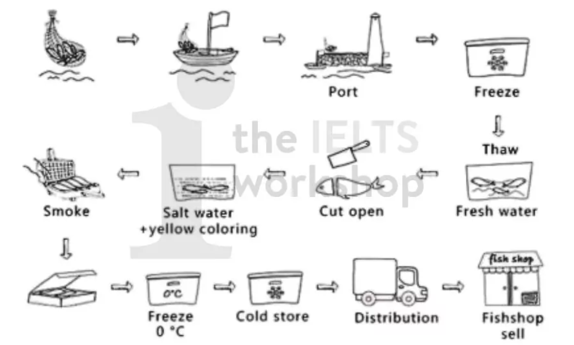 5+ The diagram details the process of making smoked fish. Summarise the information by selecting and reporting