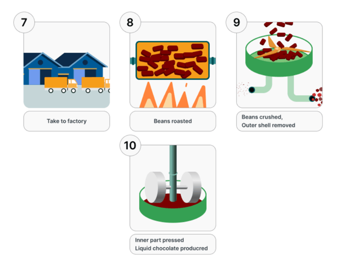 5+ The diagram shows how chocolate is produced. Summarize the information by selecting and reporting the main features