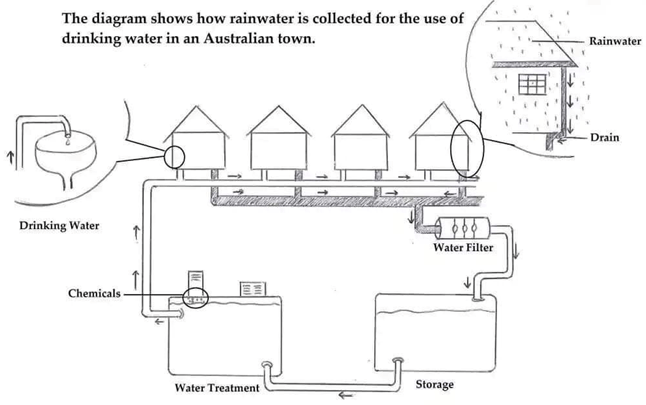 The diagram shows how rainwater is collected for the use of drinking water in an Australian