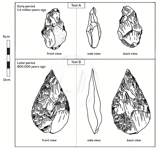 The diagrams below show two cutting tools made from stone. They are from an early period