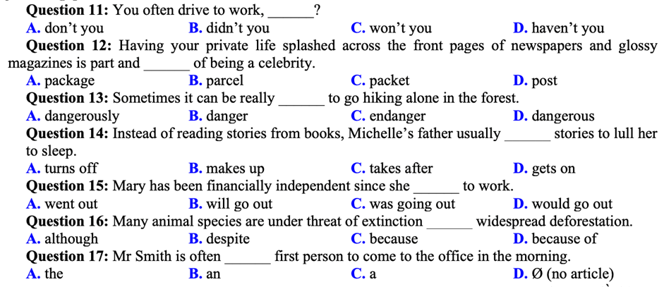 Tổng hợp đề thi, đáp án chi tiết điền từ vào câu từ đề thi chính thức