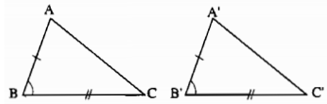 Các trường hợp bằng nhau của hai tam giác thường hay, chi tiết | Toán lớp 7 (ảnh 1)