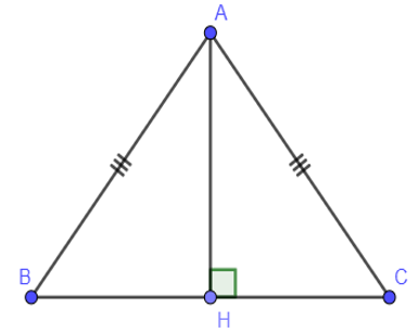 Các trường hợp bằng nhau của tam giác vuông hay, chi tiết | Toán lớp 7 (ảnh 1)