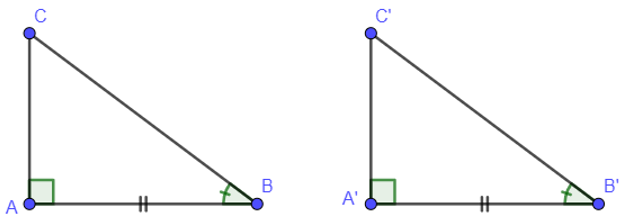 Các trường hợp bằng nhau của tam giác vuông hay, chi tiết | Toán lớp 7 (ảnh 1)