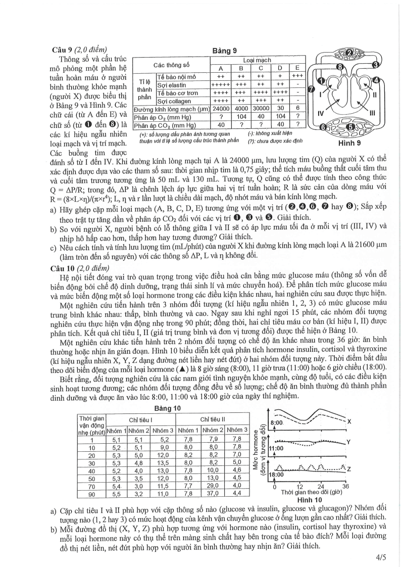 Đề thi HSG Sinh học Quốc gia 2025-2026 có lời giải (ngày 1)