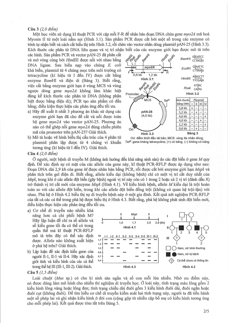 Đề thi HSG Sinh học Quốc gia 2025-2026 có lời giải (ngày 2)