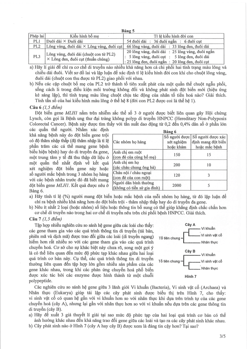 Đề thi HSG Sinh học Quốc gia 2025-2026 có lời giải (ngày 2)