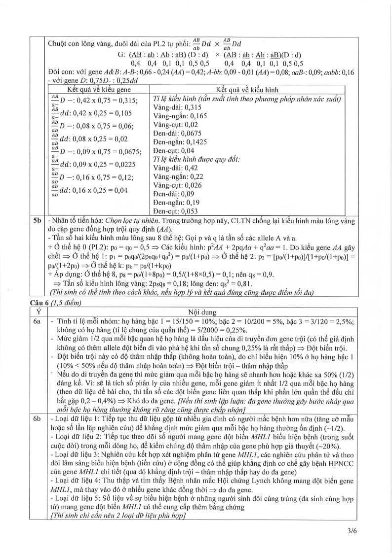 Đề thi HSG Sinh học Quốc gia 2025-2026 có lời giải (ngày 2)