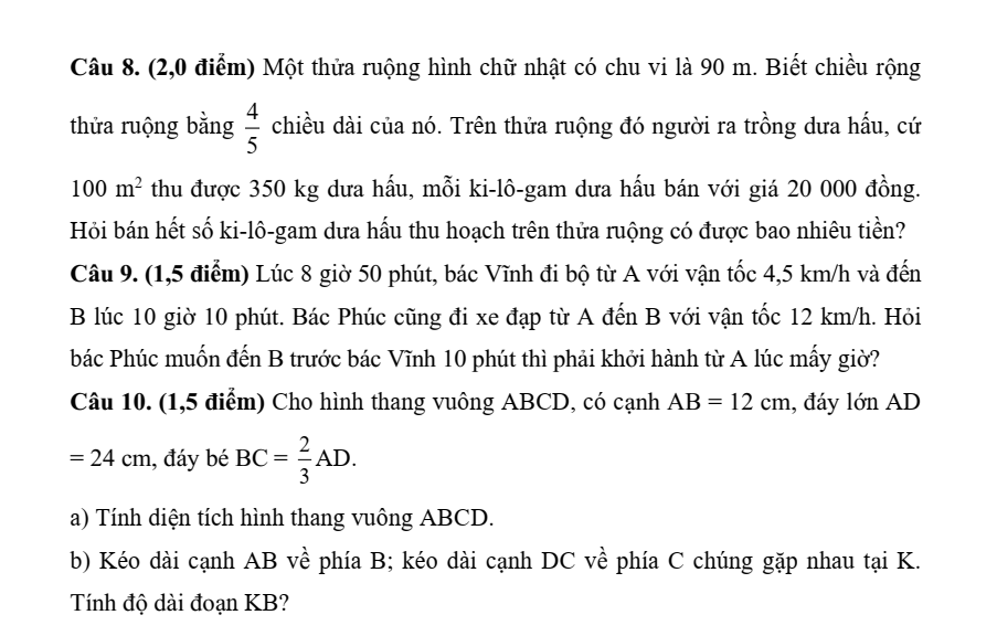 Đề thi tuyển sinh vào lớp 6 môn Toán trường THCS Tam Dương Vĩnh Phúc năm 2025