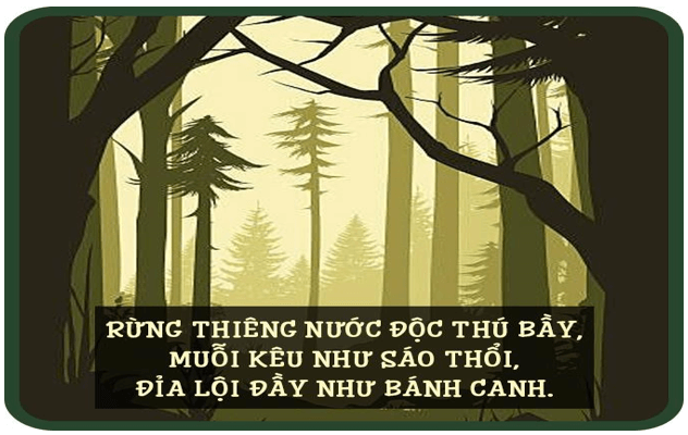 37+ Ca dao, tục ngữ và thành ngữ về đất nước hữu tình (hay, đầy đủ nhất)