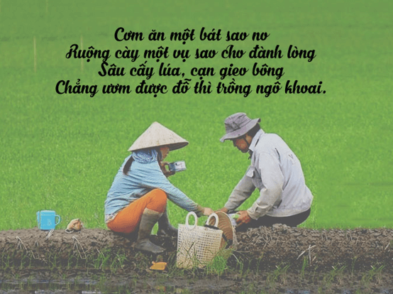 14+ Ca dao, tục ngữ và thành ngữ về phẩm chất người nông dân (hay, đầy đủ nhất)