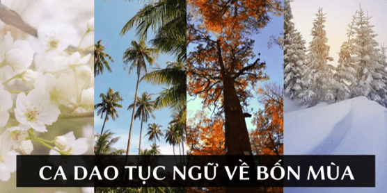 37+ Ca dao, tục ngữ về các mùa (hay, đầy đủ nhất)