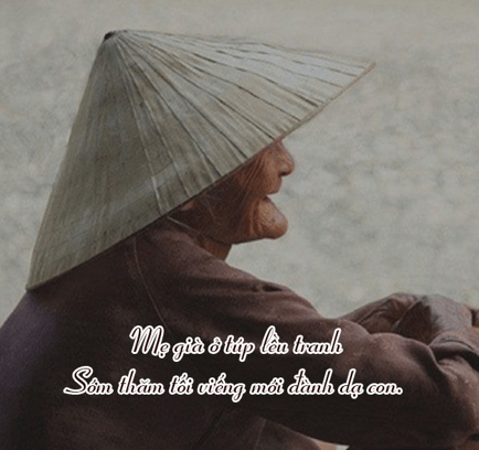 65+ Ca dao, tục ngữ về hiếu thảo (hay, đầy đủ nhất)