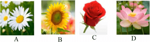 Câu hỏi ôn thi Trạng Nguyên Tiếng Việt lớp 1 Chủ điểm 1: Ôn tập các âm, vần đã học (có đáp án)