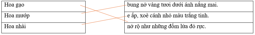 Câu hỏi ôn thi Trạng Nguyên Tiếng Việt lớp 4 Chủ điểm 12: Các kiểu câu Ôn tập câu nêu hoạt động, câu nêu đặc điềm, câu giới thiệu, câu kể, câu hỏi, câu cảm, câu cầu khiến (có đáp án)
