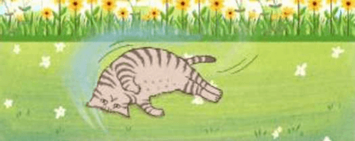 Câu hỏi ôn thi Trạng Nguyên Tiếng Việt lớp 3 Chủ điểm 13: Quan sát, mô tả dựa vào bức tranh (có đáp án)