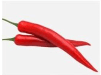 Câu hỏi ôn thi Trạng Nguyên Tiếng Việt lớp 1 Chủ điểm 4: Mô tả hình ảnh (có đáp án)