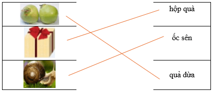 Câu hỏi ôn thi Trạng Nguyên Tiếng Việt lớp 1 Chủ điểm 4: Mô tả hình ảnh (có đáp án)