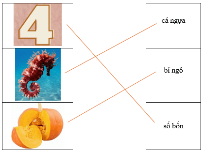 Câu hỏi ôn thi Trạng Nguyên Tiếng Việt lớp 1 Chủ điểm 4: Mô tả hình ảnh (có đáp án)