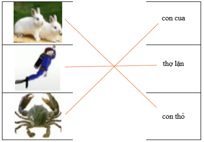 Câu hỏi ôn thi Trạng Nguyên Tiếng Việt lớp 1 Chủ điểm 4: Mô tả hình ảnh (có đáp án)