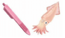 Câu hỏi ôn thi Trạng Nguyên Tiếng Việt lớp 1 Chủ điểm 8: Câu đố (có đáp án)