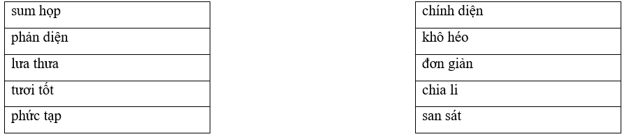 Câu hỏi ôn thi Trạng Nguyên Tiếng Việt lớp 4 Chủ điểm 9: Từ cùng nghĩa, từ trái nghĩa (có đáp án)