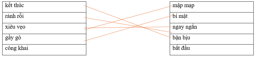 Câu hỏi ôn thi Trạng Nguyên Tiếng Việt lớp 4 Chủ điểm 9: Từ cùng nghĩa, từ trái nghĩa (có đáp án)