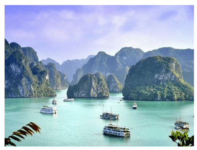 Phân biệt các phương tiện giao tiếp phi ngôn ngữ (bài tập có giải chi tiết)