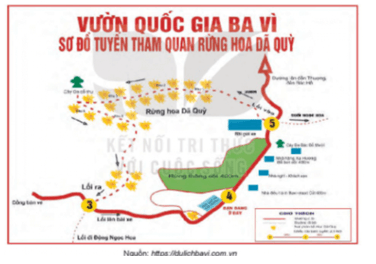 Phân biệt các phương tiện giao tiếp phi ngôn ngữ (bài tập có giải chi tiết)