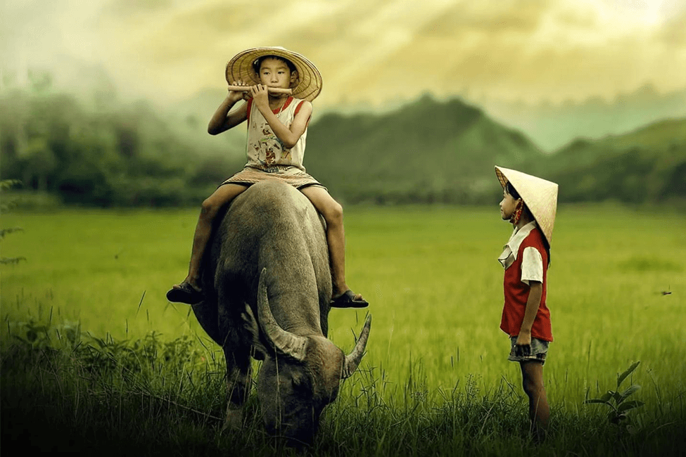 Thành ngữ, tục ngữ lớp 5 luyện thi Trạng Nguyên Tiếng Việt