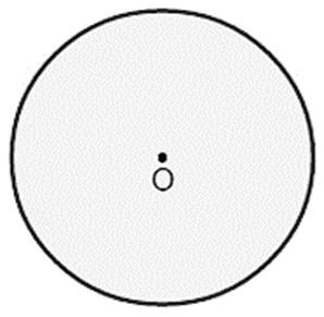 Hình tròn - Đường tròn - Chu vi hình tròn lớp 5 (Lý thuyết + Bài tập)