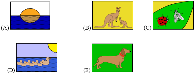 Bộ đề mẫu cấp độ 2 (lớp 3 - 4) cuộc thi Toán Quốc Tế Kangaroo