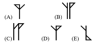 Bộ đề mẫu cấp độ 3 (lớp 5 - 6) cuộc thi Toán Quốc tế Kangaroo