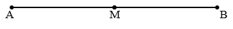 Điểm, đoạn thẳng, đường thẳng, đường cong, ba điểm thẳng hàng. Đường gấp khúc. Hình tứ giác lớp 2 (có lời giải)