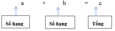 Tìm thành phần chưa biết của phép tính cộng, phép tính trừ lớp 3 (có lời giải)