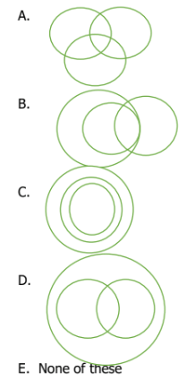 Đề thi mẫu AMO năm 2025 lớp 6