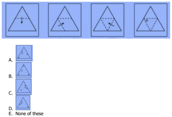 Đề thi mẫu AMO năm 2025 lớp 6