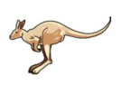 Đề thi Toán Kangaroo lớp 3, lớp 4 năm 2003 (Tiếng Anh)